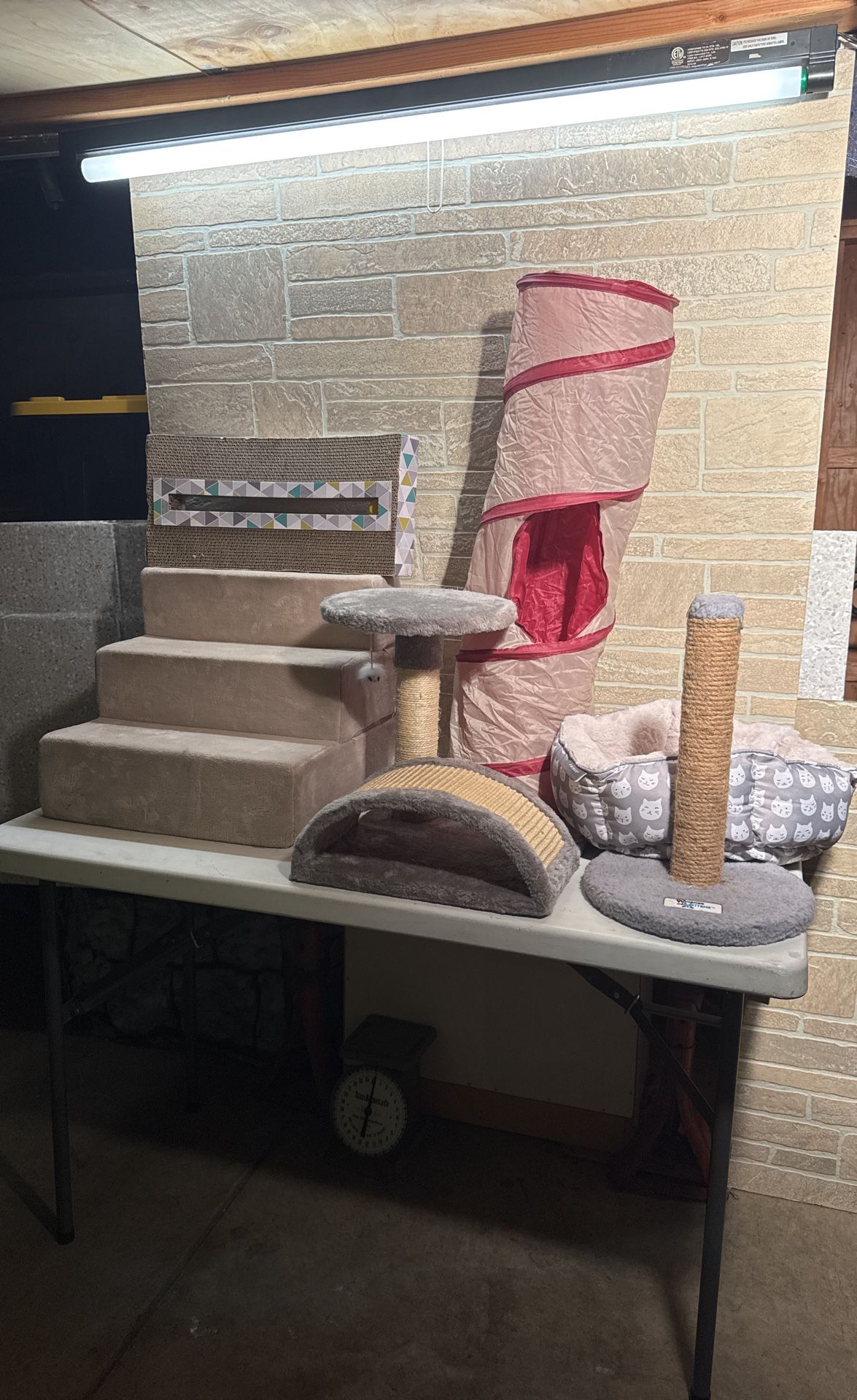 CAT 6 Play Set Up