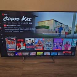 Sony Bravia 55 Inches