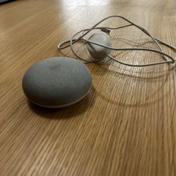 Google Nest Mini