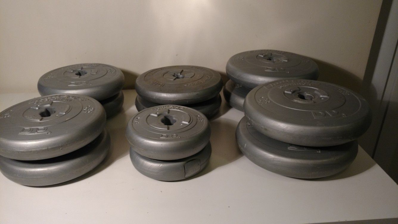 Set of 12 Challenger brand DP grey disc weights