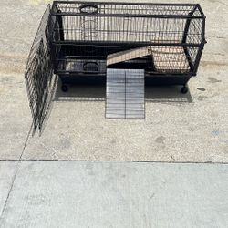 Guinea Pig Cage With Playpen
