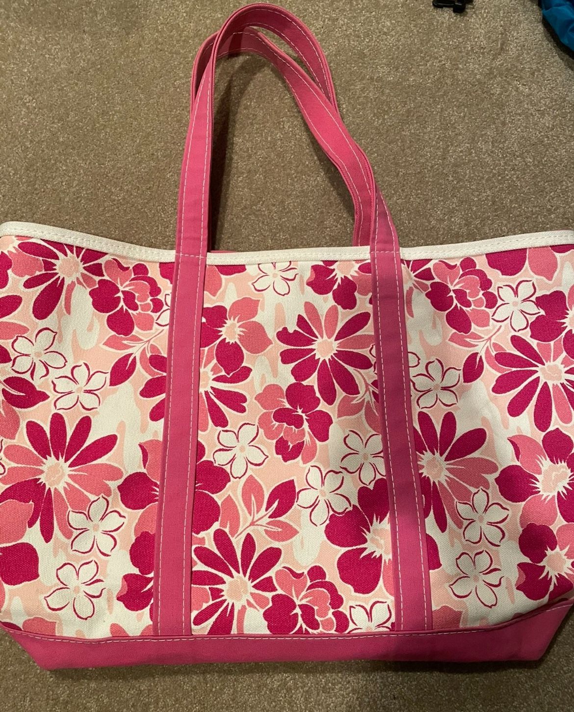 2 LL Bean Toes Bags