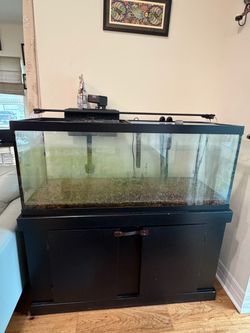 75 Gallon Tank with Stand, 2 Filters(Fluval 407 and Marineland), Air pump, Heater and Light