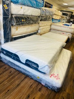 Queen New stock!