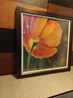Coquelicots Dans Le Soleil III by Pierre Viollet. 23 X 23 print