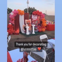 Turning Red Party Decorations 