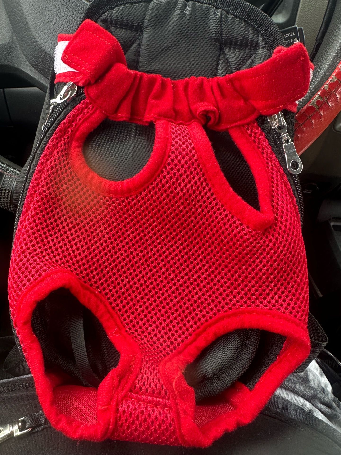 Pet carrier