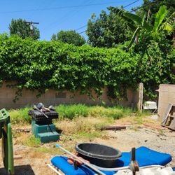 Small YARDWORK job