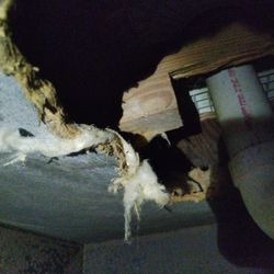 Vapor Barrier And Insulation  Mobile Homes 