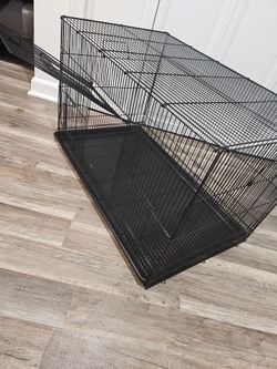 Brid Cage