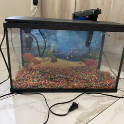 10 Gallon Fish Tank 