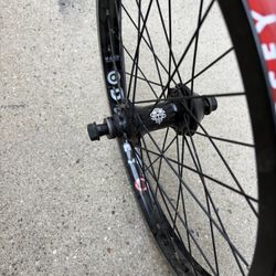 Sunday, Odyssey Wheel Set 