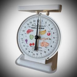 vintage 1960’s American Family Scale,