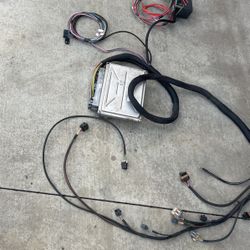 LS Swap harness