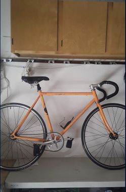 Windsor fixie on sale