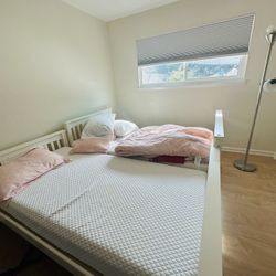 Bunk Bed Solid Wood 
