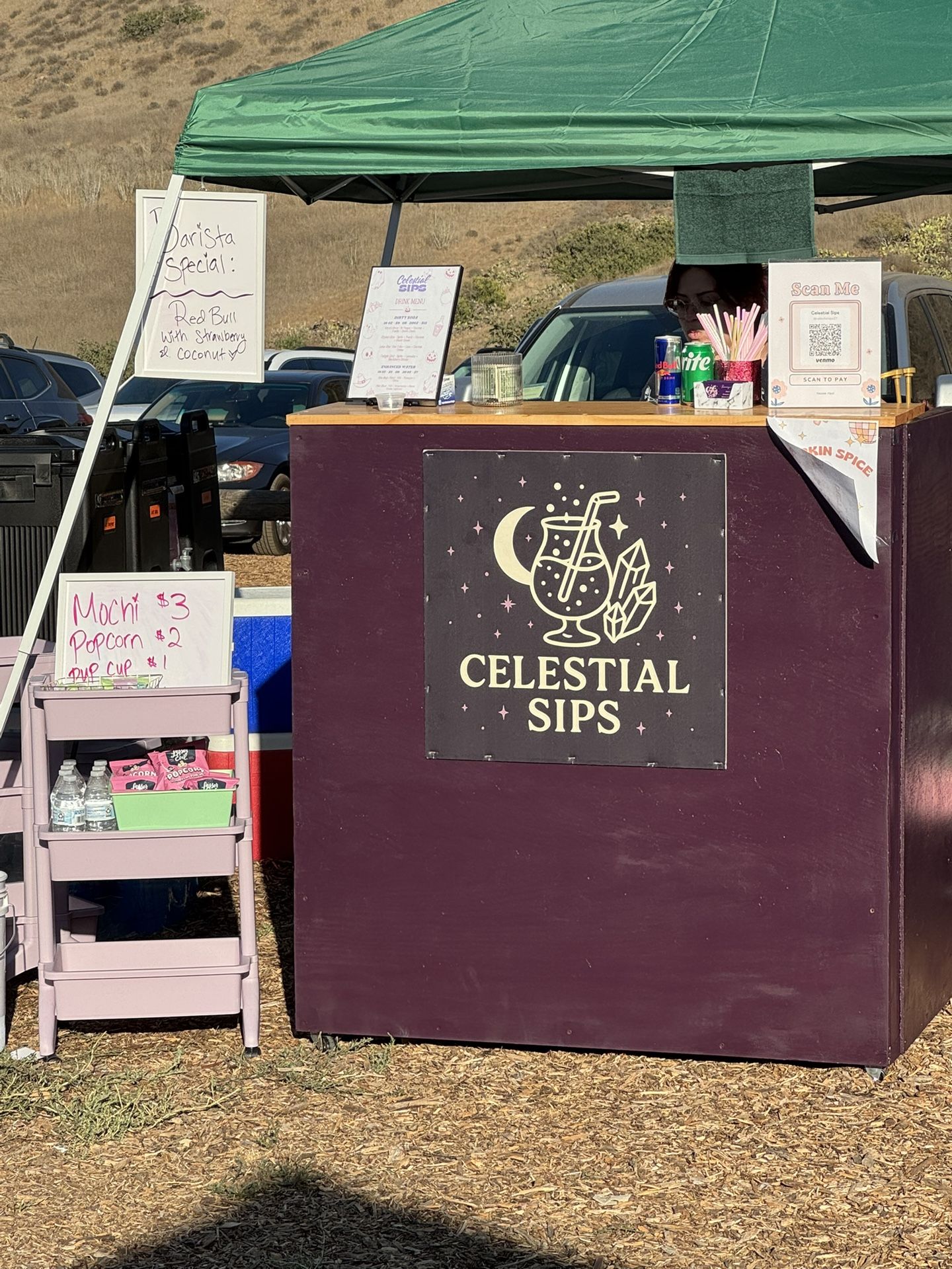 Portable Bar