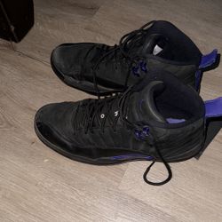 Jordan 12 Dark Concord 