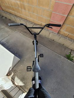 Stranger Creeper 20"