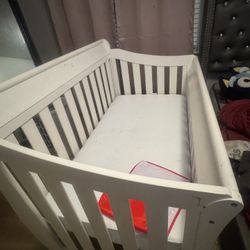 Crib & Car seat 