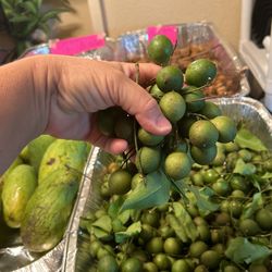 Diferent Fruit Kissimmee 34743