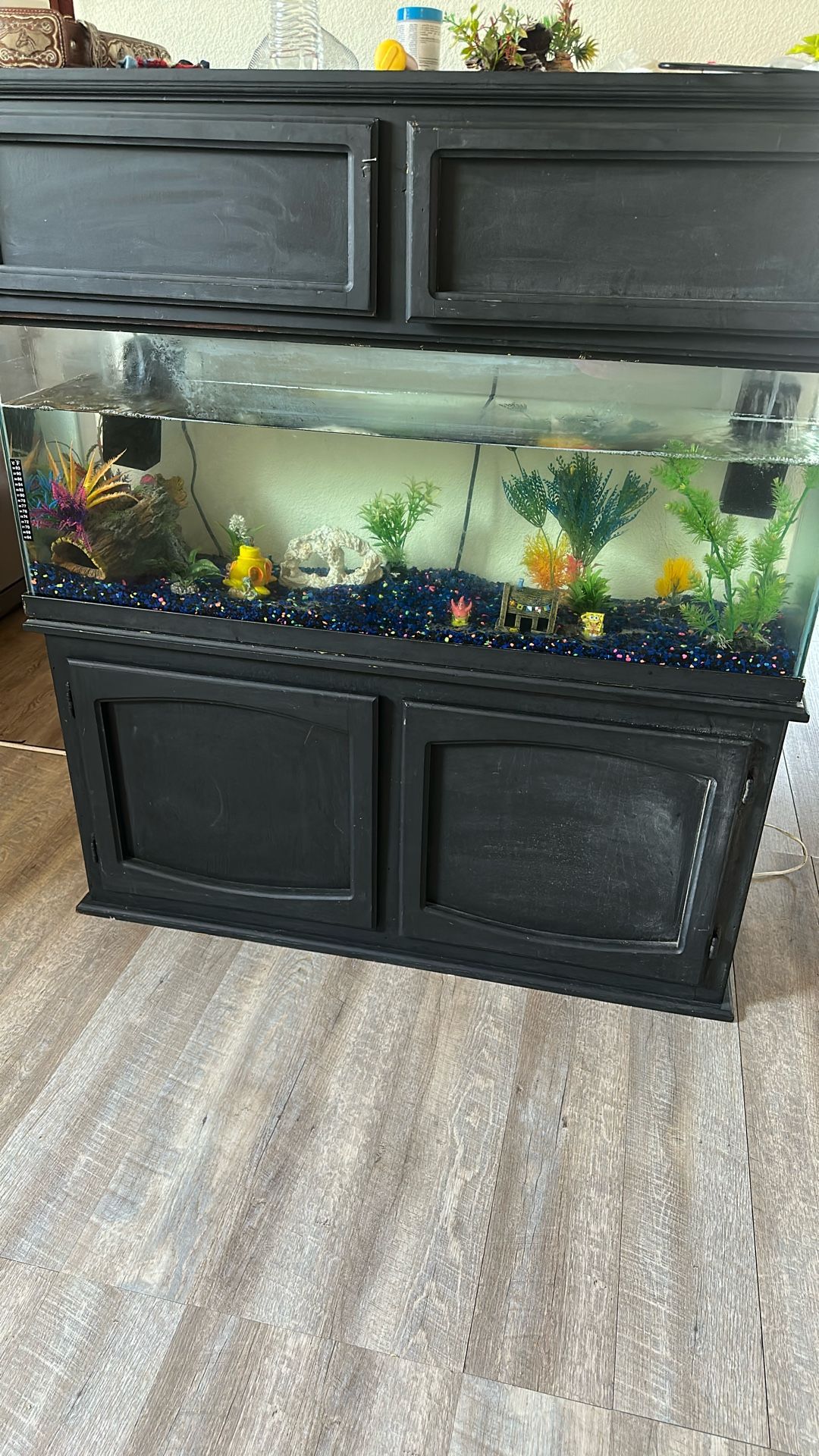 Fish Tank And Accessories