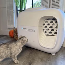 PetSnowy Litter box Automatic