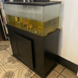 Fish Tank