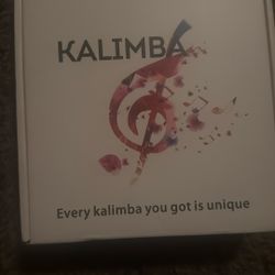 Kalimba music instrument