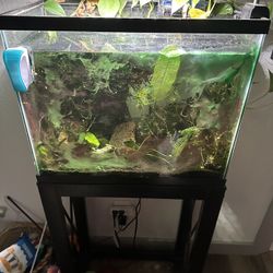 13Gal Aquarium Tank And Stand