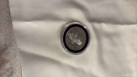 Half Troy Ounce .999 Silver