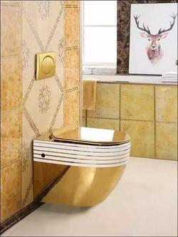 Wall mounted Gold toilet with white lines