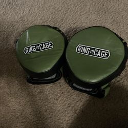Focus Mitts