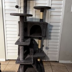 cat tree: 4ft 8 inches
