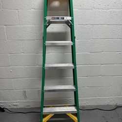 Werner Fiberglass Ladder 6’
