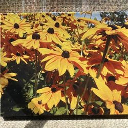 Canvas Photograph 11” X 14”  “Summer Beauty”