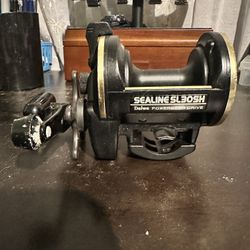 Daiwa Sealine Sl30