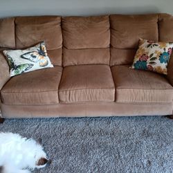 Couch and Matching Loveseat 