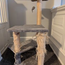 Used Cat Tree