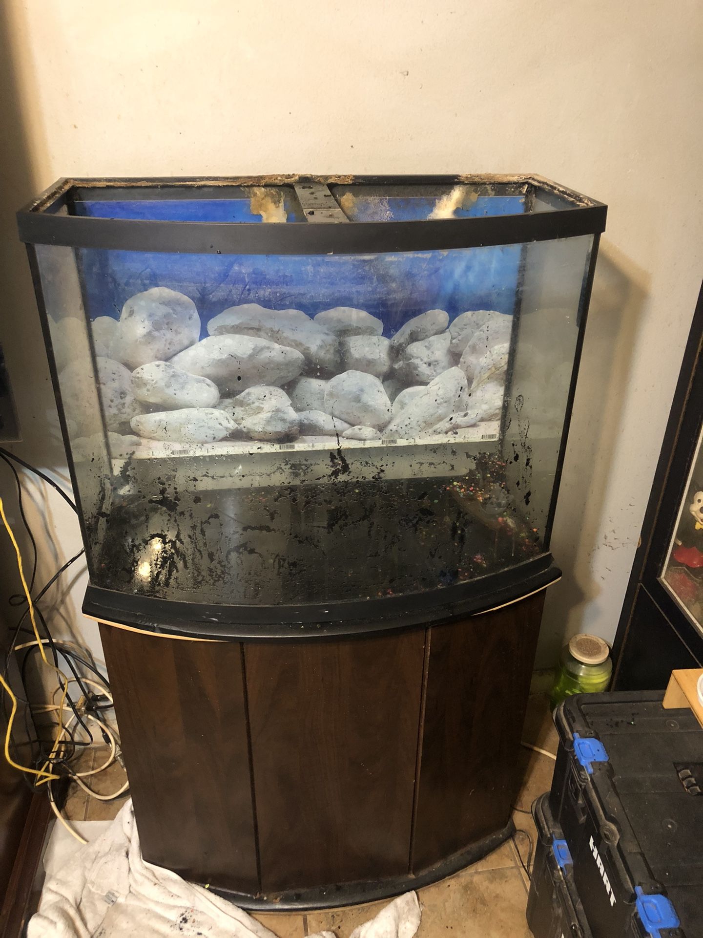 Fish Tank, Stand, And Supplies
