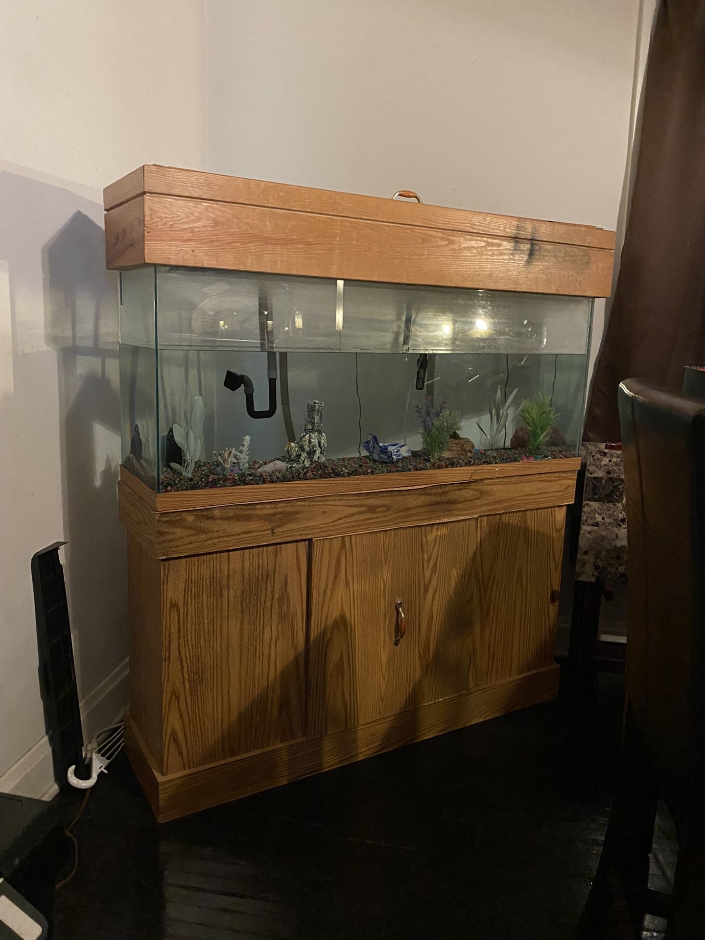 55 Gallon Aquarium 