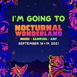 Nocturnal Wonderland !