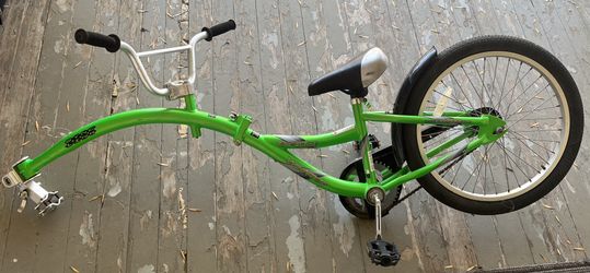 WeeRide Co-Pilot Bike Trainer