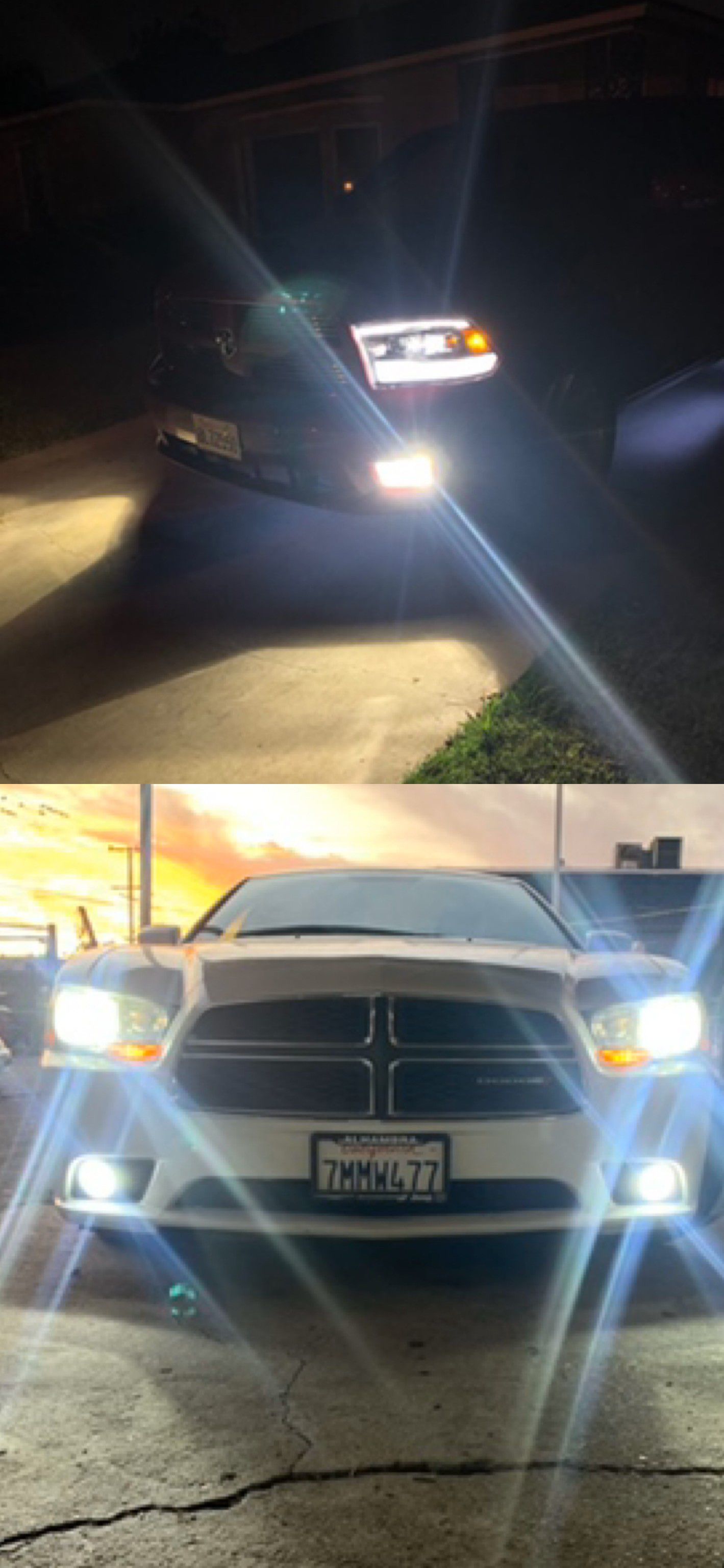 Led headlights 25$ pair free license plate LEDs with purchase