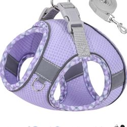 Petank Small Purple Dog Harness & Leash NEW!