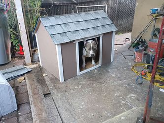 Large dog house