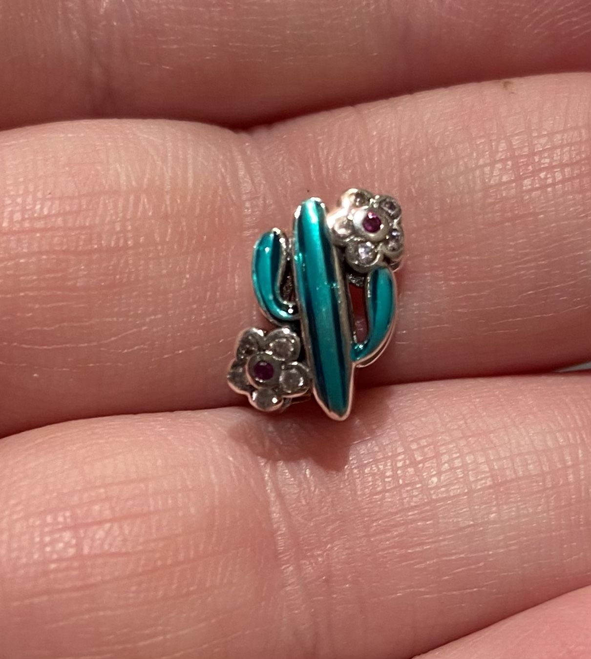 Cactus Silver Charm S925