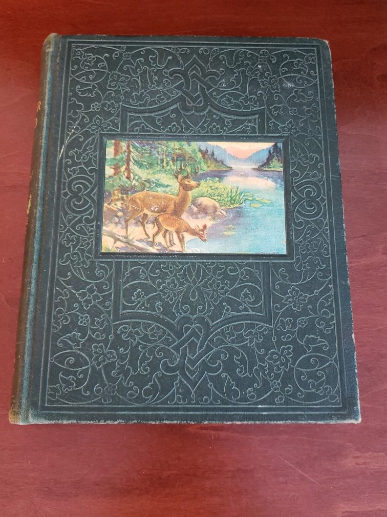 New Wonder World Vol. 3 - 1947 Library of Knowledge Nature Book - Vintage Children's Book - Vintage Nature Book