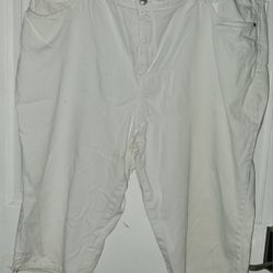 Gloria Vanderbilt White Capri X2 Sz.24W