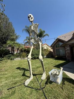 12ft Skeleton